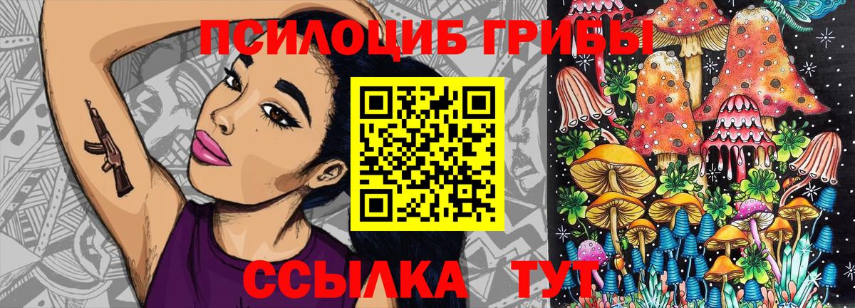 Галлюциногенные грибы прущие грибы  Вход с VPN  Галлюциногенные грибы мицелий  Майский 