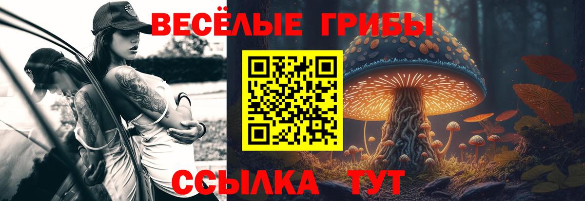 Псилоцибиновые грибы MAGIC MUSHROOMS Майский